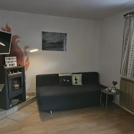Tamara's Apartamento Jochberg
